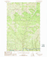 Mastodon Mountain 1988 topographic map thumbnail
