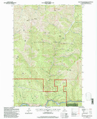 Mastodon Mountain 1995 topographic map preview