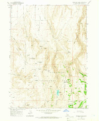 Mc Mullen Basin topographic map thumbnail
