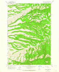 McKinzie Creek 1963 topographic map thumbnail