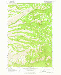 McKinzie Creek 1963 topographic map thumbnail
