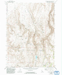 McMullen Basin 1965 topographic map thumbnail