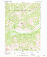 Meridian Peak 1967 topographic map thumbnail