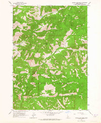 Meyers Cove Point 1963 topographic map thumbnail