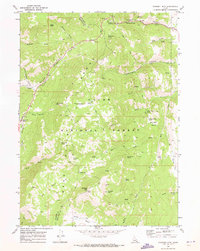 Midnight Mtn topographic map thumbnail
