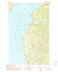 Minerva Peak 1989 topographic map thumbnail