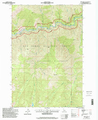Mink Peak 1995 topographic map thumbnail