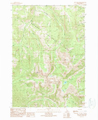 Mogg Mountain 1989 topographic map thumbnail