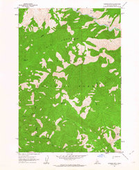 Mormon Mtn topographic map thumbnail