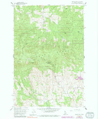 Moscow Mountain 1960 topographic map thumbnail
