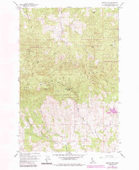 Moscow Mtn 1960 topographic map preview