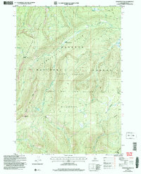 Mosquito Peak 2004 topographic map thumbnail