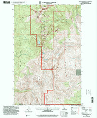 Mount Roothaan 1996 topographic map thumbnail
