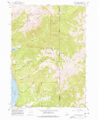 Mount Baird 1966 topographic map thumbnail