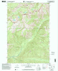 Mount Paloma 1998 topographic map thumbnail