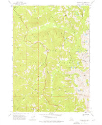 Nahneke Mtn topographic map thumbnail
