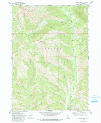 Newman Peak 1970 topographic map thumbnail