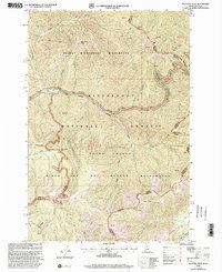 Nez Perce Peak 1998 topographic map thumbnail
