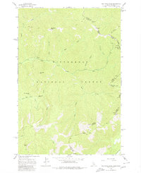 Nez Perce Peak 1962 topographic map thumbnail