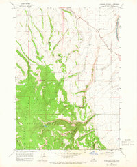 Packsaddle Lake 1965 topographic map preview