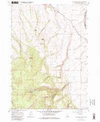 Packsaddle Lake 1965 topographic map thumbnail