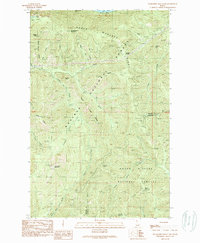 Packsaddle Mountain 1989 topographic map thumbnail