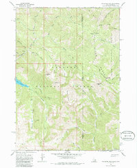 Palisades Peak 1966 topographic map preview