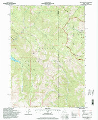 Palisades Peak 1996 topographic map thumbnail