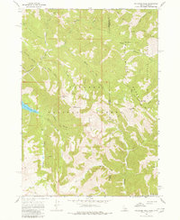 Palisades Peak 1966 topographic map preview