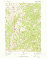 Paradise Peak 1970 topographic map thumbnail