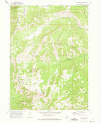 Paris Peak 1969 topographic map thumbnail