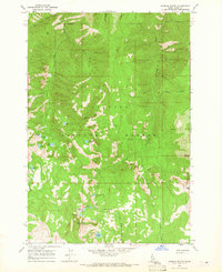 Patrick Butte 1964 topographic map thumbnail