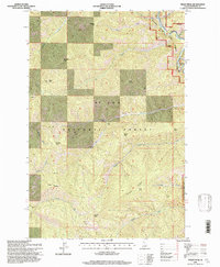 Peggy Peak 1995 topographic map thumbnail