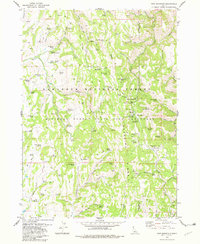 Pike Mountain 1978 topographic map thumbnail