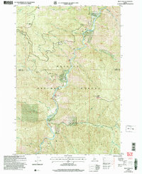Pilot Peak 2004 topographic map thumbnail