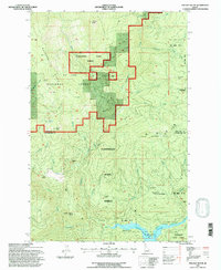Pinchot Butte 1994 topographic map thumbnail