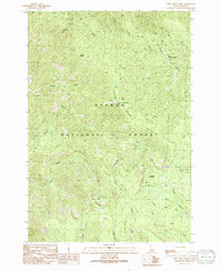Pine Creek Ridge 1991 topographic map thumbnail