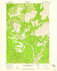 Placerville 1957 topographic map preview