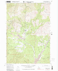 Placerville 1976 topographic map thumbnail