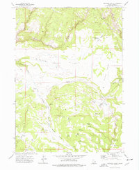 Pleasant Valley 1973 topographic map thumbnail