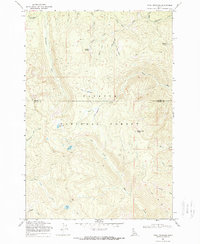 Pony Meadows 1969 topographic map preview