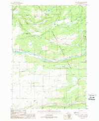 Porcupine Lake 1989 topographic map thumbnail