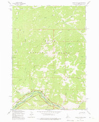 Pungo Mountain 1973 topographic map thumbnail