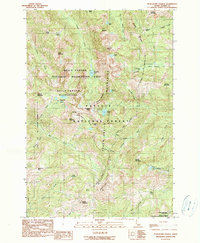 Purgatory Saddle 1990 topographic map thumbnail