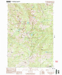 Purgatory Saddle 1990 topographic map thumbnail