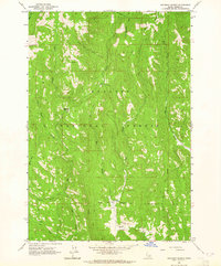 Railroad Saddle 1963 topographic map thumbnail