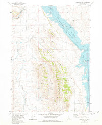 Reservoir Mtn topographic map thumbnail