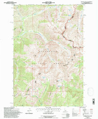 Rhodes Peak 1994 topographic map thumbnail