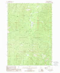 Rice Peak 1988 topographic map thumbnail