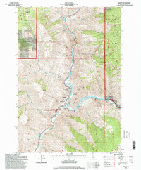 Riggins 1995 topographic map thumbnail